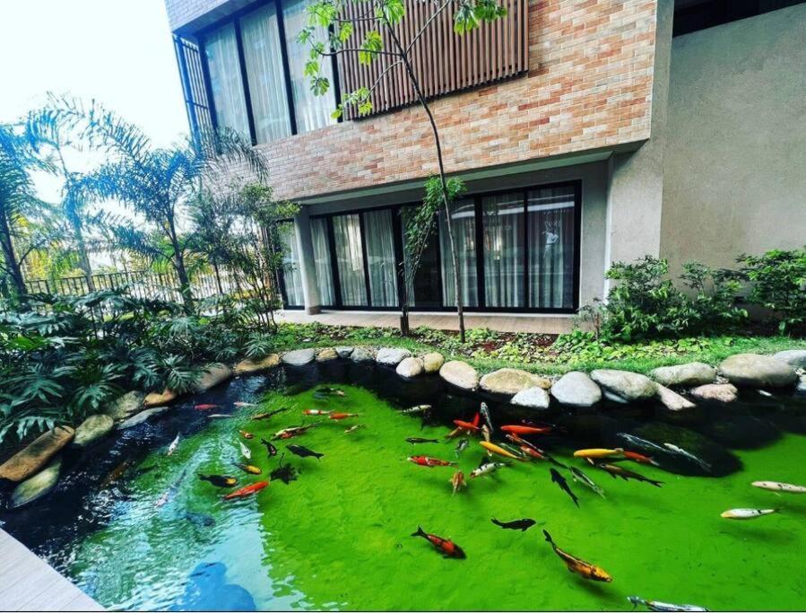 Apartamento, Centro Sp - Piscina E Ar Condicionado * São Paulo